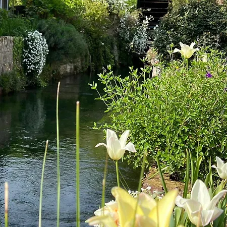 Villa California Βίλα Veules-les-Roses